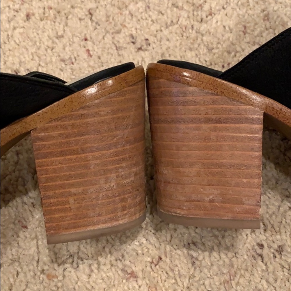 1 State mules! - Picture 6 of 7